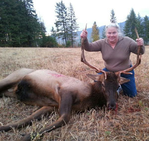 First Bull Elk