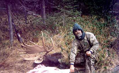 Harvested Bull Moose