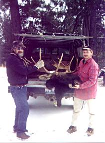 Bull Moose Hunt