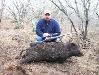 Hog and .308